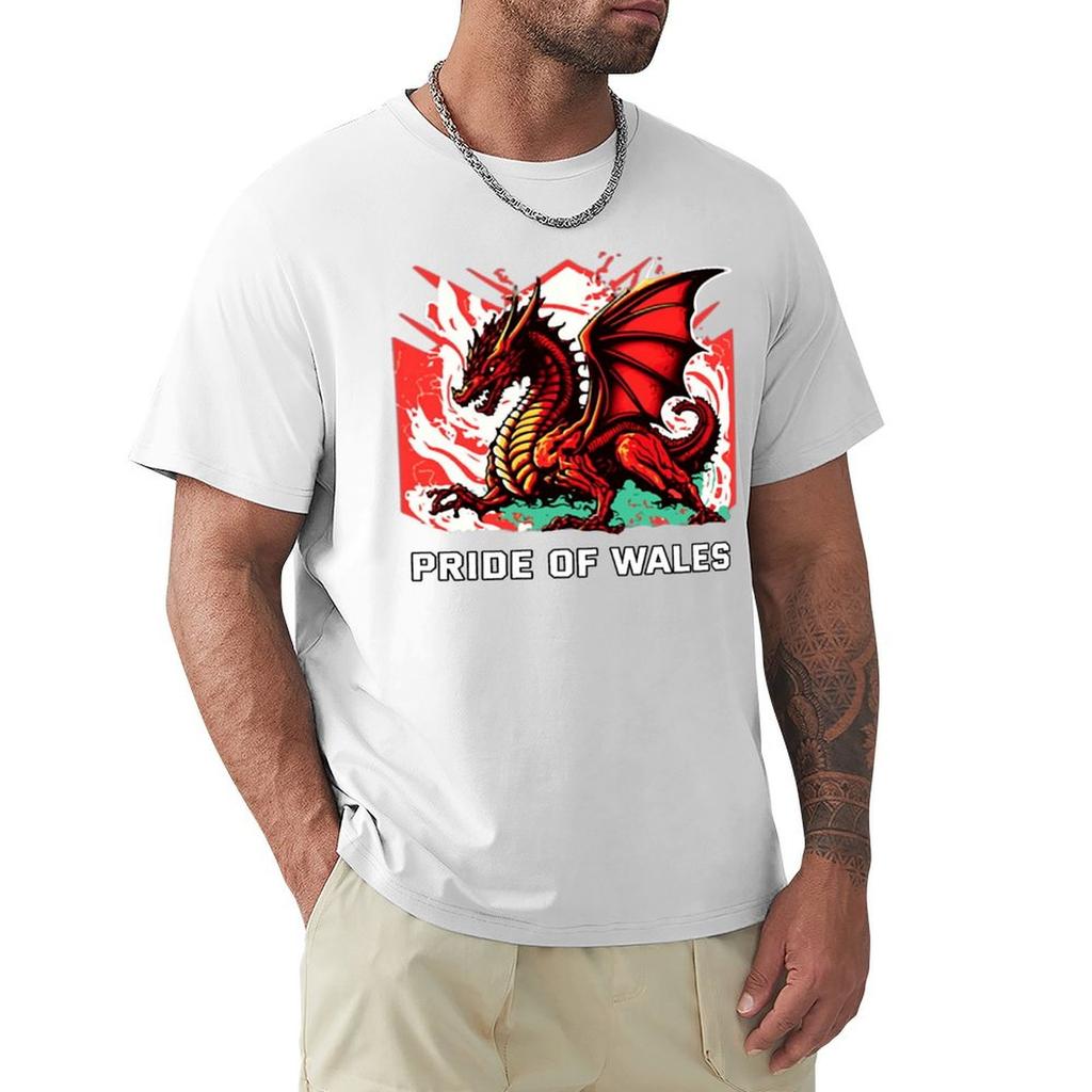 Pride of wales TShirt Basic Tee Shirt for Everyday Outfit