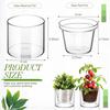Self Watering Pot for Indoor Plants Clear Glass Planter Small Plant Pot with Saucer Reservoir Drainage Holes Bottom Watering Pot