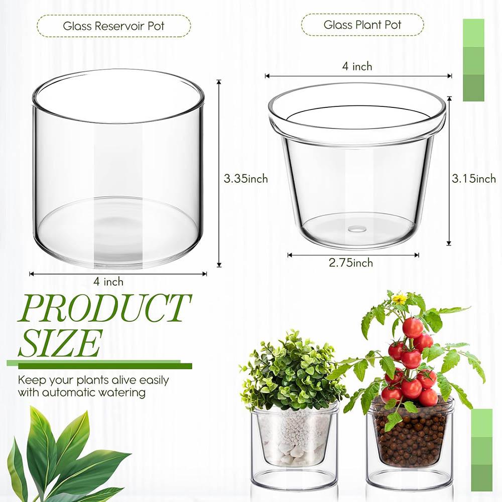 Self Watering Pot for Indoor Plants Clear Glass Planter Small Plant Pot with Saucer Reservoir Drainage Holes Bottom Watering Pot