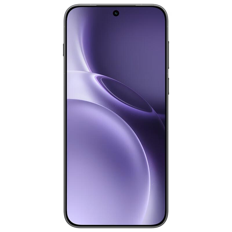 Vivo X300 Pro (CN Version)