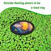 10 st Akvarium flytande växtringar lätta Håll matväxter på plats EVA-skum flytande ring för akvarium