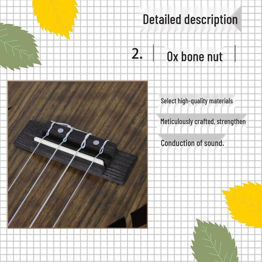 Walnuss Anfänger Ukulele - 23 & 26 Zoll Vier-Saiten Kleine Gitarre