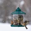Waterproof Bird Feeders Garden Gazebo Hanging Wild Bird Feeder Large Capacity Pet Birds Feeding House Bird Feeder