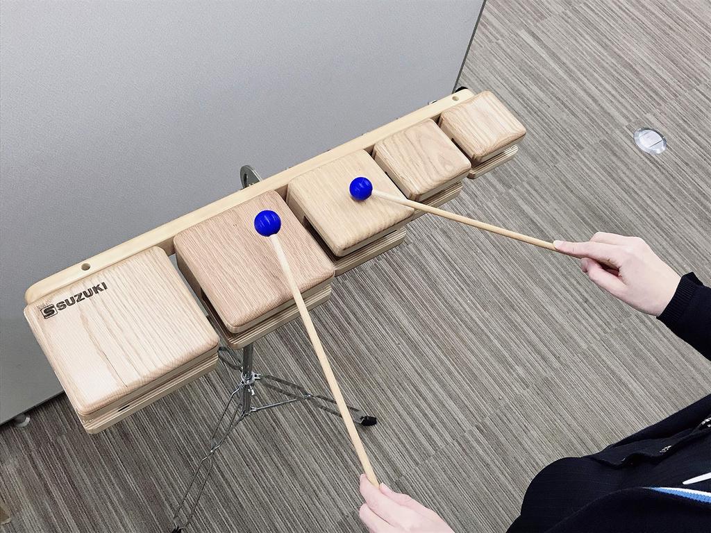 SUZUKI Temple Block STE-510