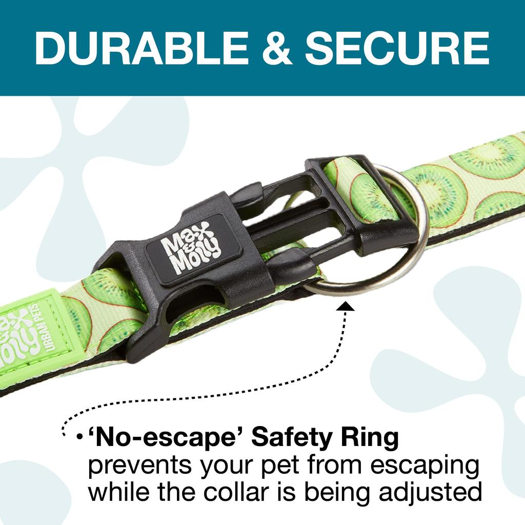 ROOKCRAN Max Molly Medium Collar with Kiwi Stylish and Cute for 115858 & Design, Training, Pets,