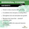 THE FOREST HERBS Natürliche Pflege aus der Natur 100% reines Bhringraj-Pulver für Haarwachstum - 200 g | Gut für Haarkur, Haaröl