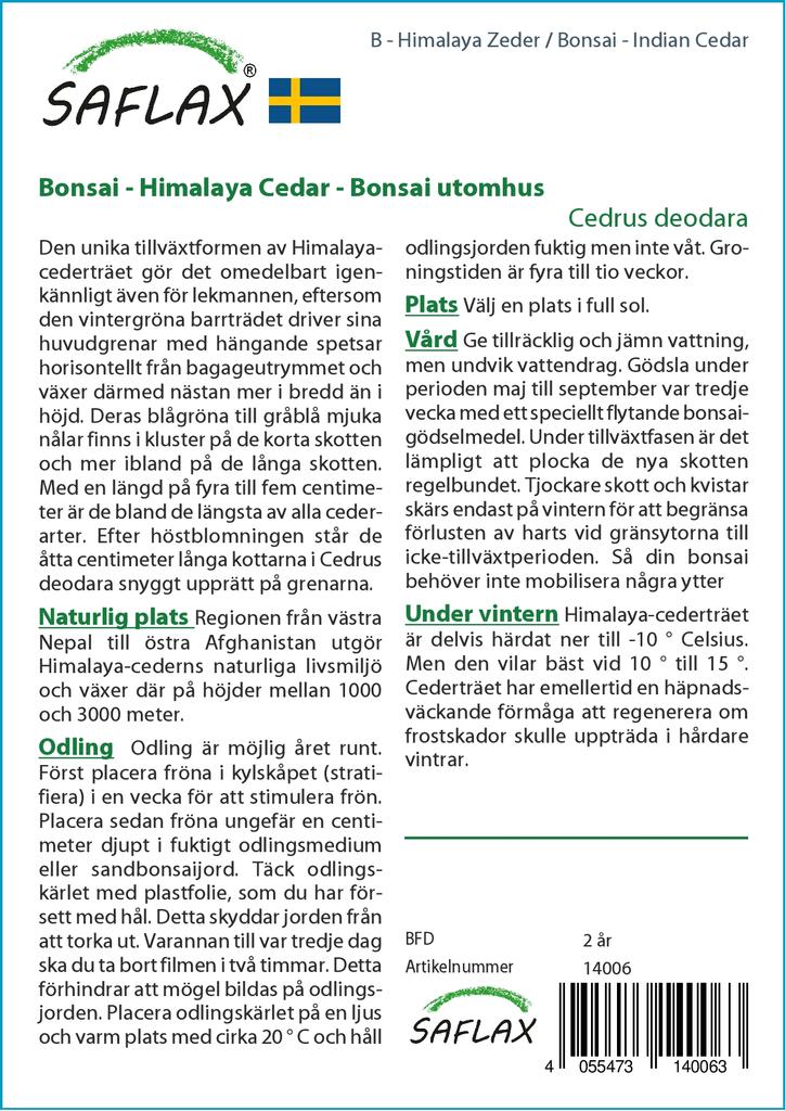 SAFLAX Garden In the Bag - Bonsai - Indian Cedar - 35 Seeds - With Substrate In a Fitting Stand Up Bag - Cedrus Deodara