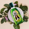 Patanjali Amla Hair Oil 100ml Pack Of 1 | Strengthen Roots & Reduce Hair Fall Naturally