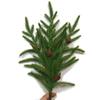 Plastic Artificial Pine Branch Christmas Tree Simulation Pine Needle  Hotel Office
