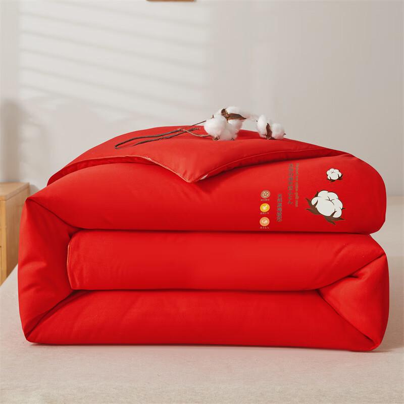 

Yuanzhiwei All-Season Cotton Blend Quilt