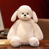 Creative Cute Raccoon Small Plush Toy Poodle Children Accompanied Large Doll
