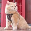 Cat Leash, Anti-escape Special Cat Leash for Going Out, Pet Carrier, Adjustable Chain, Cat Walking Wonder