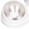 Cat Water Food Bowl Automatic Water Filling 16 Degree Tilt Stainless Steel Double Pet Bowl Set White
