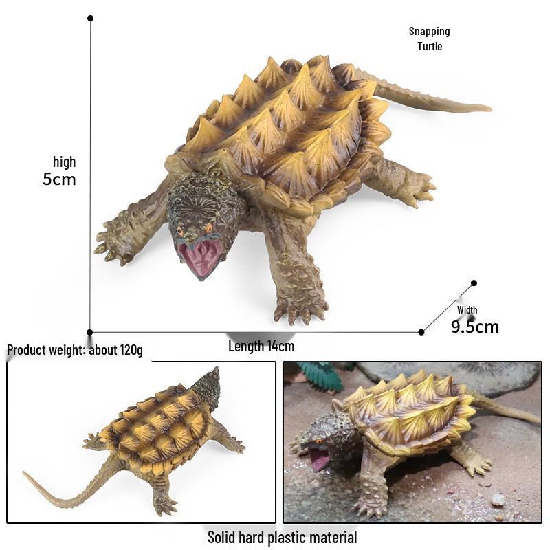 Children's Cognitive Marine Animal Models: Sea Turtle and Tortoise Toys