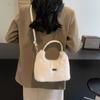Autumn and Winter Plush Small Bag New Soft Niche Bag Portable Commuter Versatile Wool Bag Messenger Bag Female