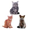 Cute Cat Printed Throw Pillow High Definition 3D Eyes Fashionable Cushion
