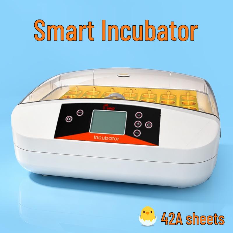 Smart Mini Egg Incubator for Parrots and Budgies: Automatic Pet Hatchery Equipment