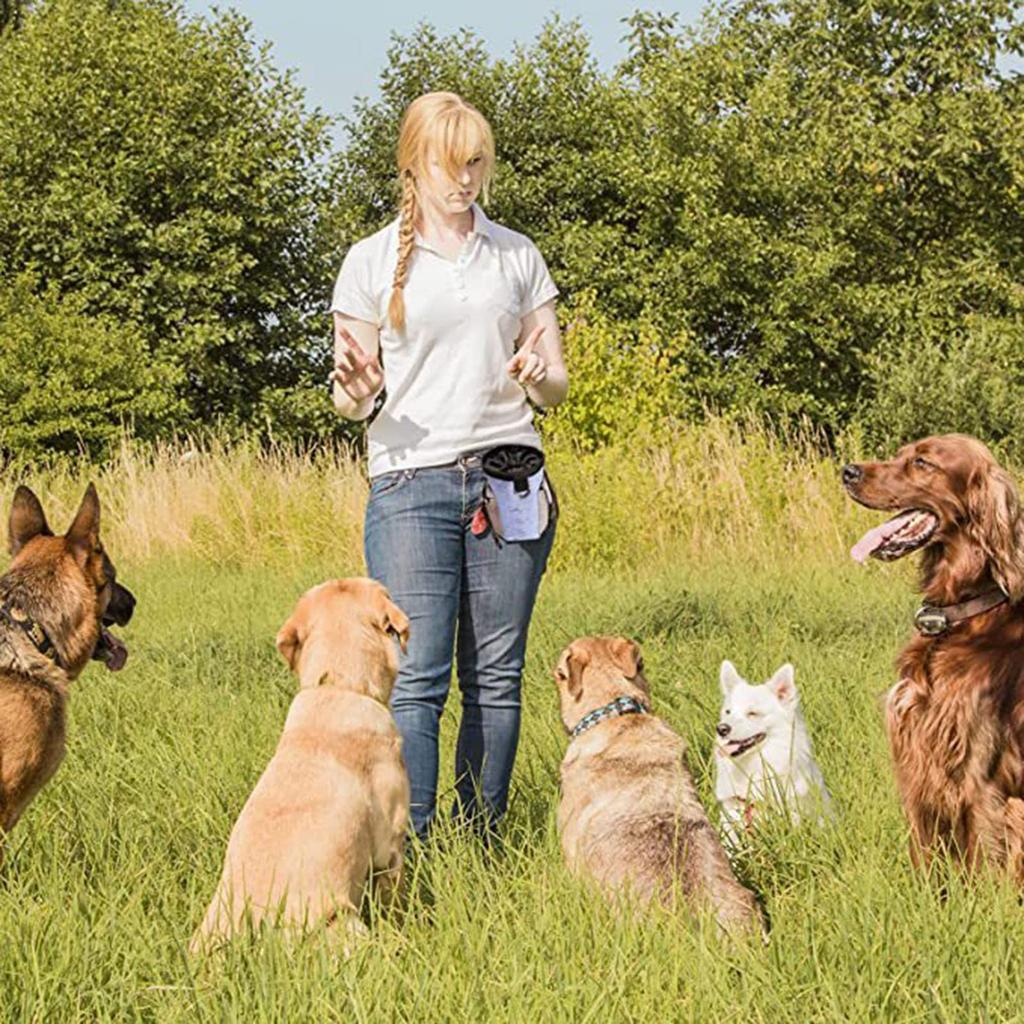 Waterproof Dog Treat Pouch With Poop Bag Dispenser Adjustable Belt Pet Training Food Bag For Outdoor Walking