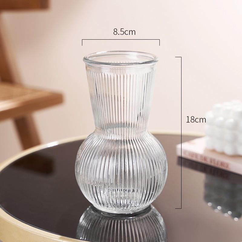 Internet Celebrity Style Transparent Glass Vase for Hydroponic Flower Arrangements - Gypsophila Display for Living Room or Dining Table