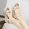Fashion Casual 2025 Luxury Buckles Wedges Heel Woman Shoes Chic and Elegant Shoe Original Summer Offers Trending Daily Sandals for Women