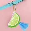 Watermelon Shape Pet Garbage Bag Dispenser Colorful Pet Poop Bag Holder  Park