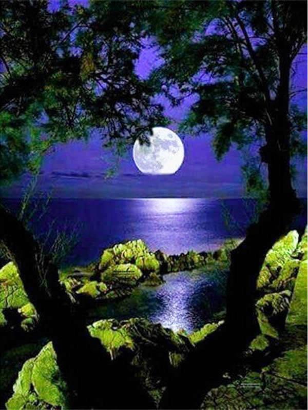 Diamant-Malerei, Mond, voller Bohrer, quadratisch, Diamant-Stickerei, Baum, Perlen, Mosaik, Küstenlandschaft, 5D, DIY-Kunst, Wanddekoration