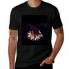 Wolfs Rain Tshirt Minimalist Plain Crew Neck Tshirt