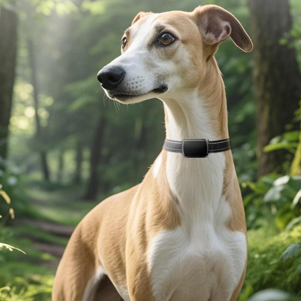 Dog Tracker with Adjustable Collar Cat Locator Smart Pet Locator for Dogs & Cats