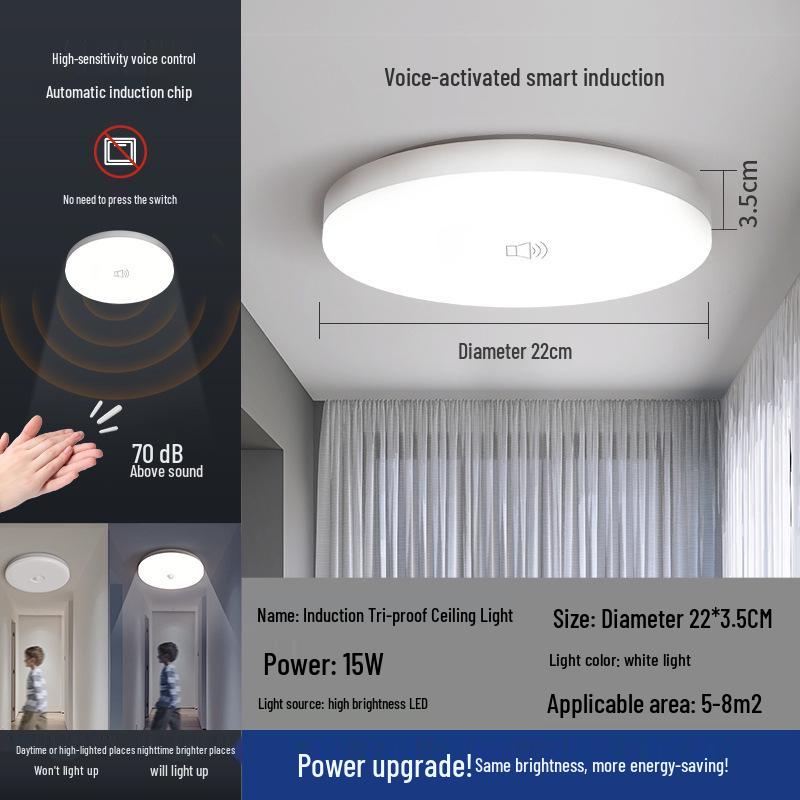 Smart Infrared Radar Sensor Ceiling Light for Stairways, Hallways, and Corridors with Voice Control