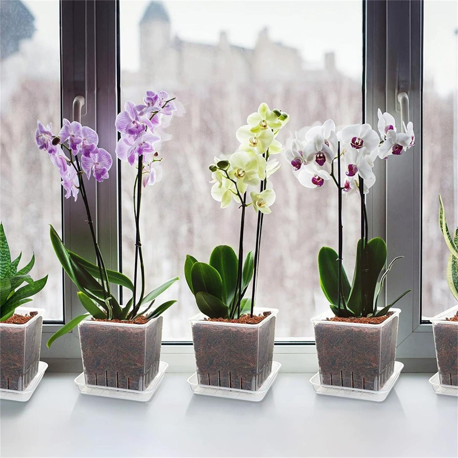 

Reusable Transparent Plastic Flower Pots, Breathable Orchid Planters, Root Control Pots for Phalaenopsis Repotting, Clear Square Plant Pots S белый