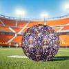 1pc Royal Canine Magic Size 5 Soccer Ball Professional Lightweight Durable Match Training Football Indoor &Outdoor Sports BallTraining Ball Y77