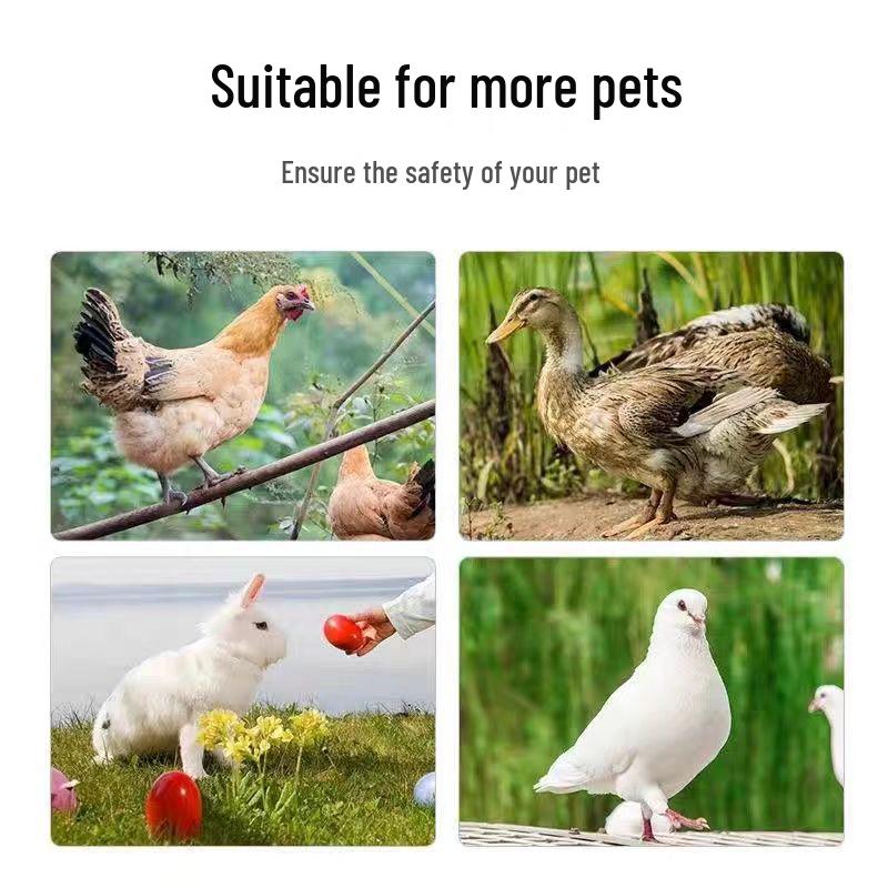 Extra Large Rainproof Outdoor Chicken Coop & Poultry Cage for Rabbits, Peacocks, and Pigeons