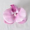 5pcs Simulated Film Butterfly Orchid Flower Head Petals Flower Accessories Headwear Hairclip Handmade Wedding Gift Decoration