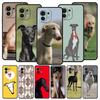 Galgo vėjaraibis šuo telefono dėklas skirtas Xiaomi Mi 17 15T 15 14 14T 13T 12T Pro 12 13 Lite 5G 11T Poco X6 X7 X5 Pro minkštas dėklas