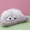 Simulated Kitten Meow Bamboo Charcoal Deodorizing Plush Cushion for Car & Home Decoration