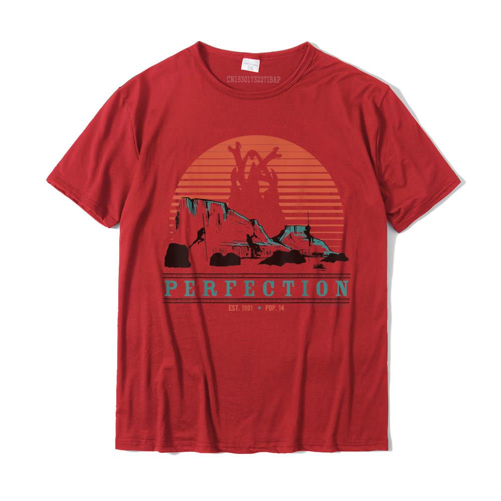 Tremors Perfection Sunset Logo TShirt Top Tshirts for Unisex Normal Tops Shirt Christmas Day Funny cosie Cotton S