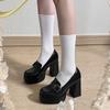 Height-increasing shallow mouth with skirt single shoes women's new spring and autumn black retro Japanese jk thick-soled Mary Jane small leather
