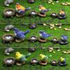 4Pcs Mini Bird Figure Model Cartoon Resin Crafts Diy Plant Bonsai Figurines Fairy Garden Dollhouse Miniatures Decor