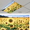 Decoration Light Covers 120*60cm Lampshade Anti-glare 15 Styles Magnetic Light Filters Sky Cloud Fabric Lampshade Offices