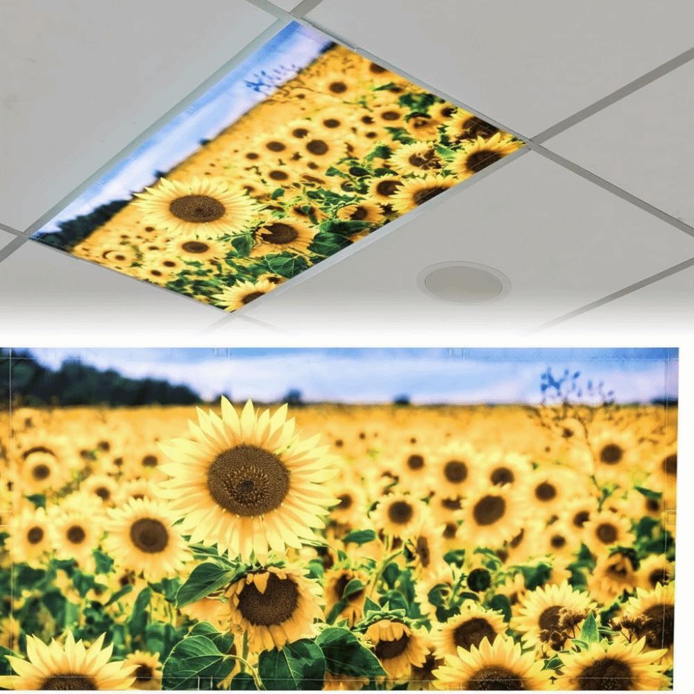 Decoration Light Covers 120*60cm Lampshade Anti-glare 15 Styles Magnetic Light Filters Sky Cloud Fabric Lampshade Offices