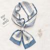Spring and Autumn New Korean Decorative Slim Long Silk Scarf for Women, Small Neck Scarf, Ribbon Binding, Bag Strap, Headband, Winter Warm Scarf