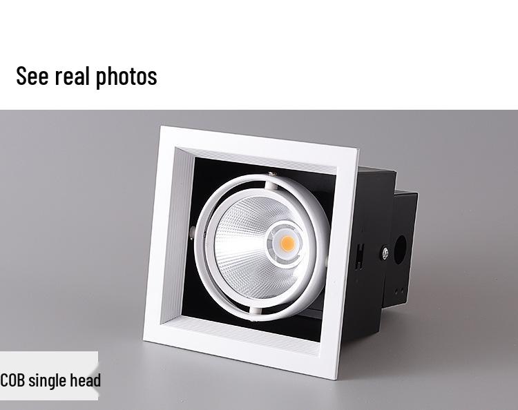 Adjustable Double-Head LED Eyeball Spotlight for Retail Stores