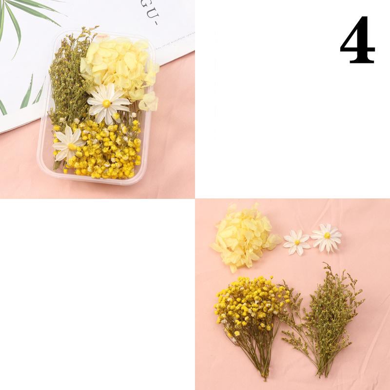 

Искусственные растения Натуральные настоящие сухоцветы для свечей Форма Эпоксидная смола Изготовление своими руками Украшения Аксессуары для дома Ремесла