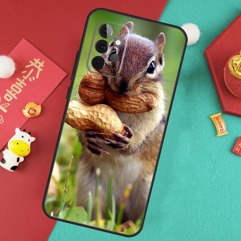 

Squirrel Cute Animals Case For Samsung Galaxy A16 A26 A36 A56 A15 A35 A55 A14 A34 A54 A12 A32 A52 A13 A33 A53 A17 Samsung A17