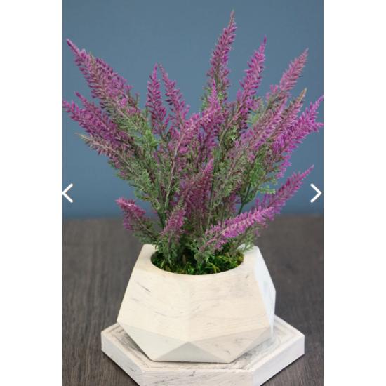 

Порошковый лавандовый набор с основанием в бетонном горшке