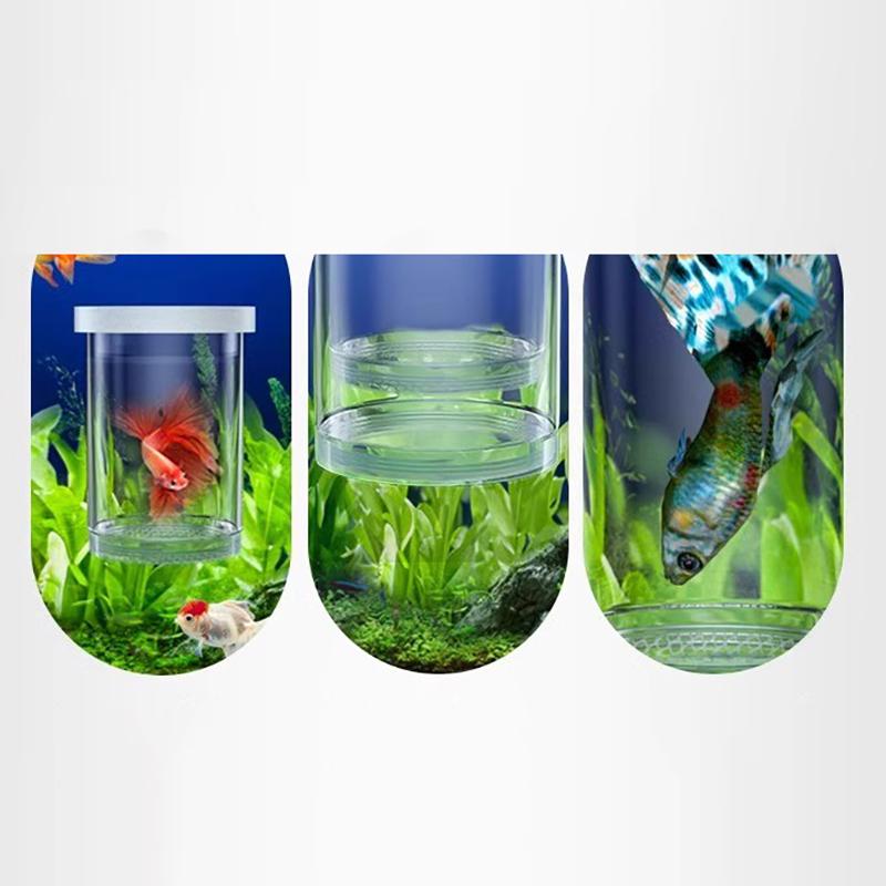 Scatola di Isolamento per l'Allevamento di Pesci Galleggianti Acquario Incubatrice per la Schiusa Incubatrice per la Schiusa Mangiatoia Incubatoio per Acquario