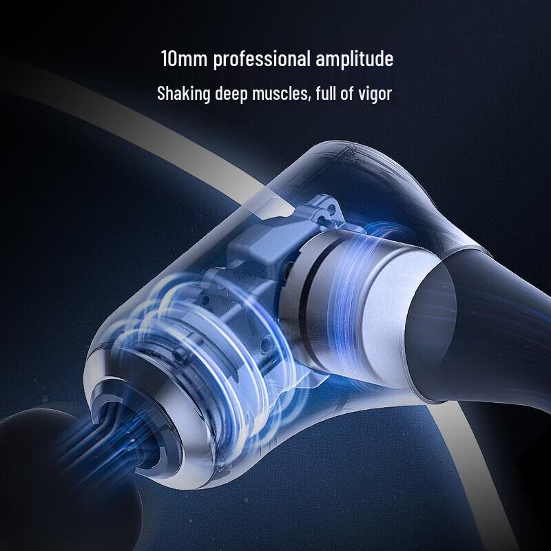 Philips Professional Deep Tissue Full Body Massager CN plug (adapter included)