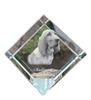 Redbone Coonhound – Crystal Cube with a Photo, Photo of a Horse In Crystal |
