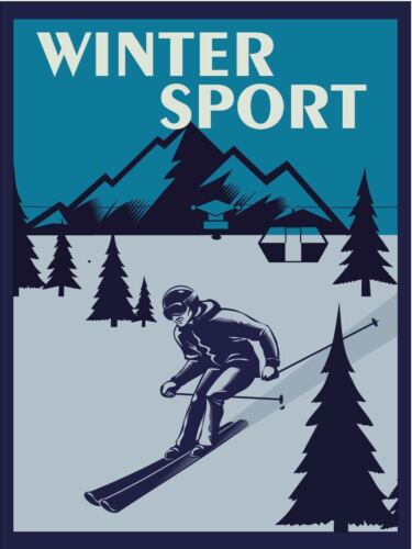 

Winter Sport Vintage Retro Metal SignAluminum 20x30cm（7.8x11.8inch）