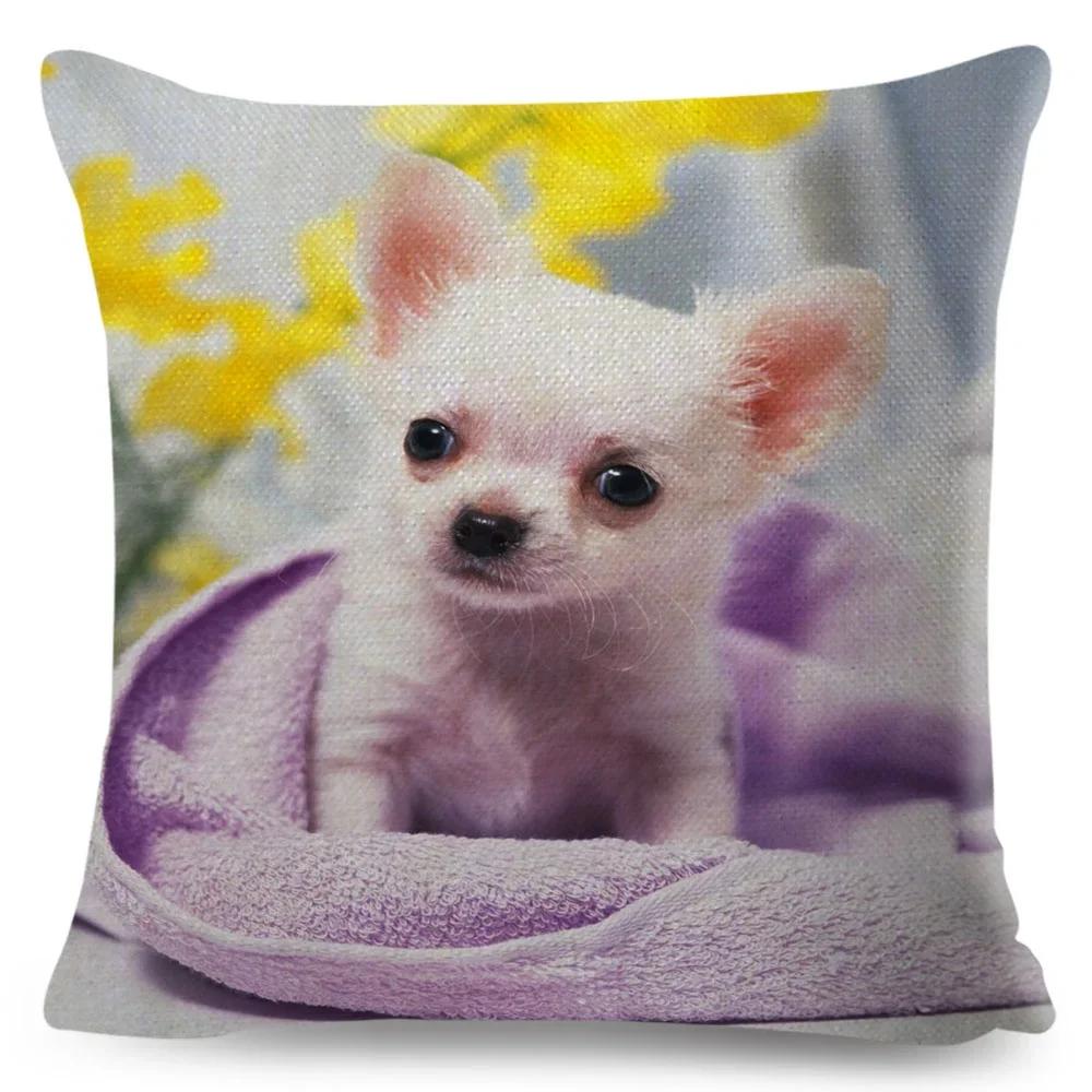 Cute Little Dog Chihuahua throw pillow cover with short plush print for living room sofa decoration cushion cover pillow covers